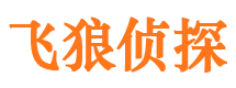 泉港市私家侦探